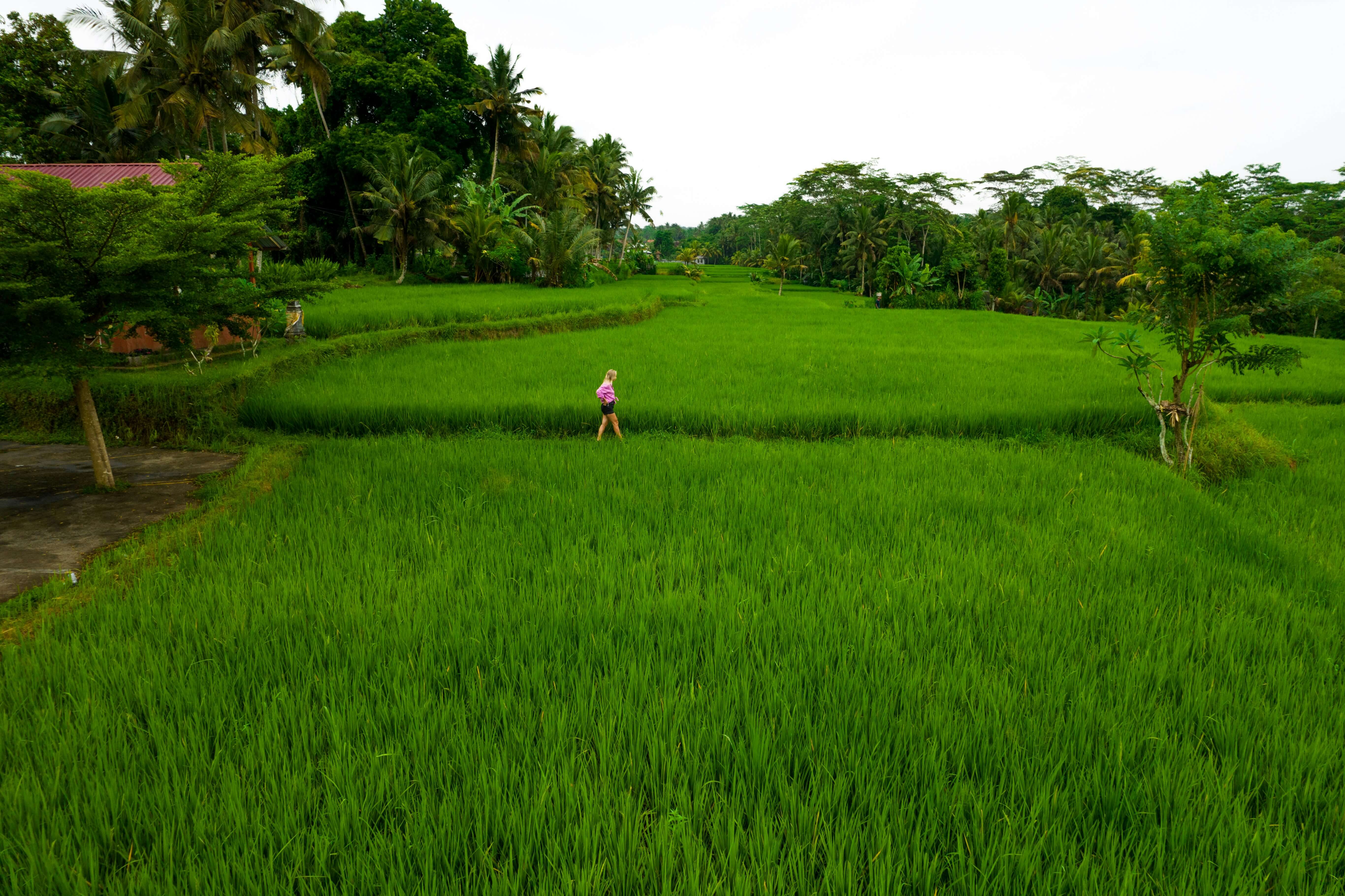 조상 땅 찾기 총정리