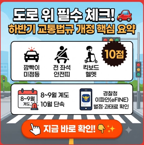 하반기 교통법규 강화