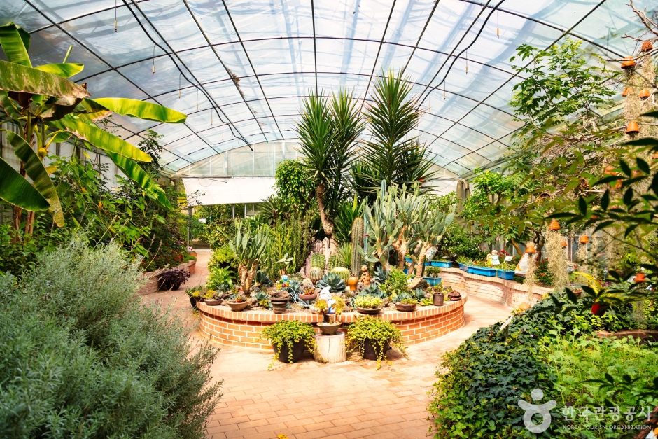 청주 가볼만한곳 베스트10