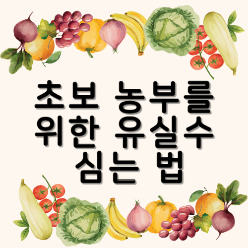 초보농부를 위한 유실수 심는법