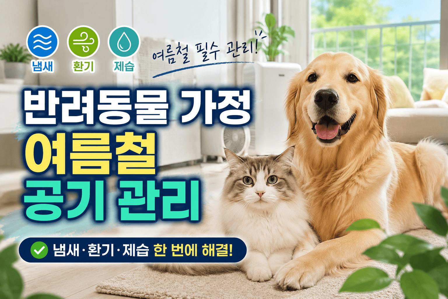 반려동물 가정 여름철 공기 관리 (냄새, 환기, 제습)