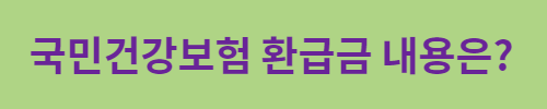 국민건강보험 환급금 조회 (6)