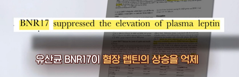 bnr17 유산균 효능