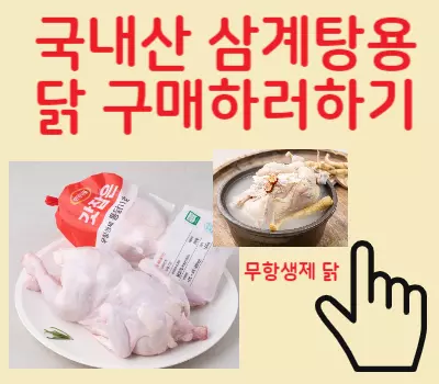 무항생제 닭