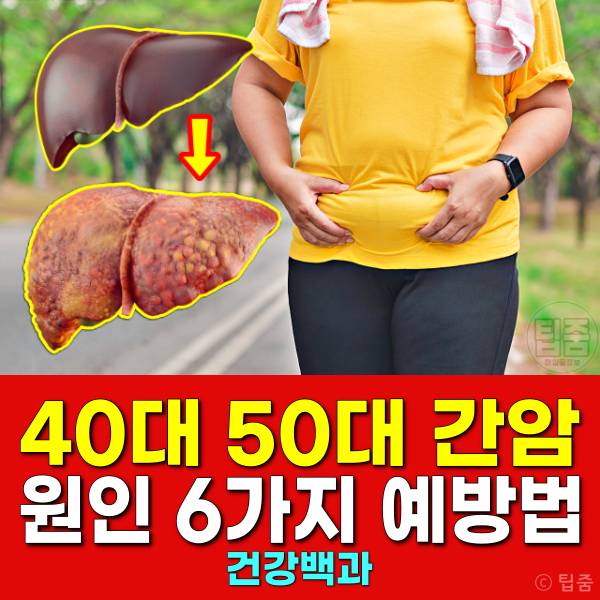 간암 원인 40대 50대 간암 예방법