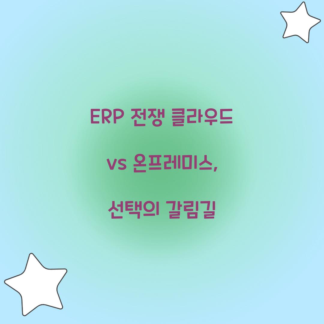 ERP 전쟁
