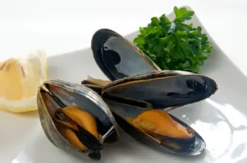 홍합 효능 및 영양성분, 가격