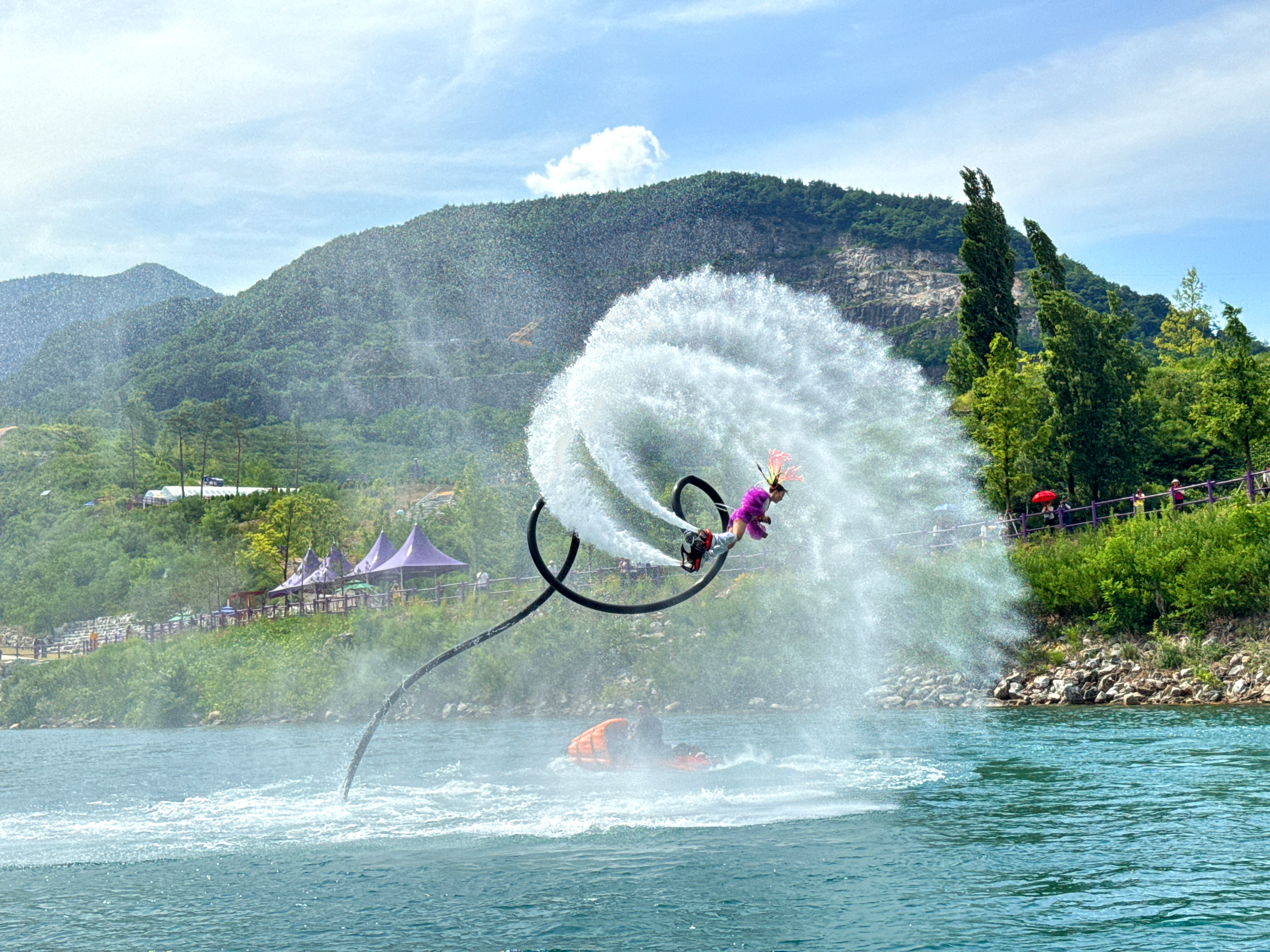 무릉별유천지 라벤더 축제