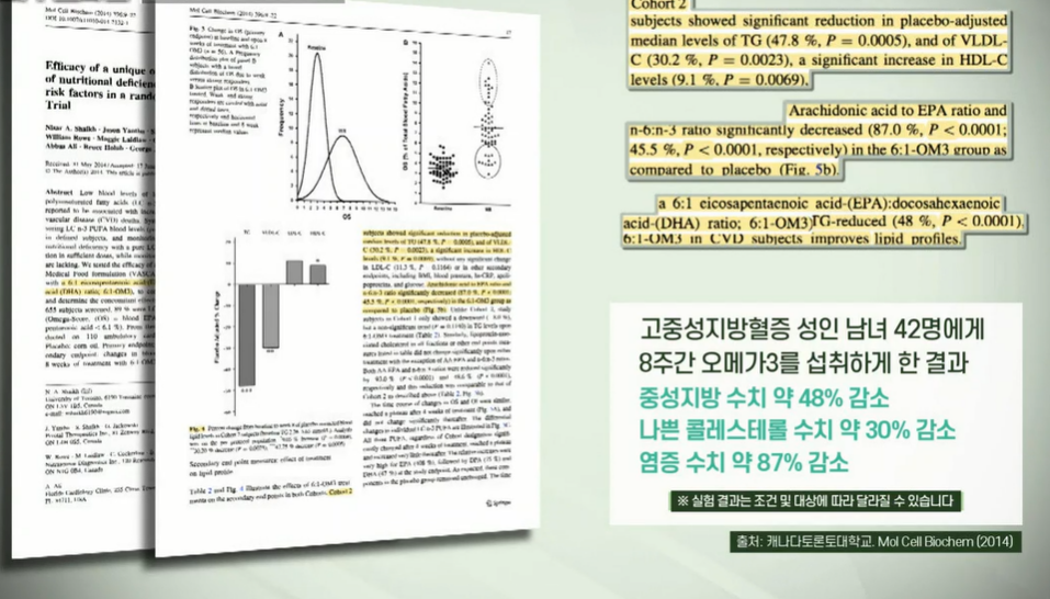 알티지오메가3 효능
