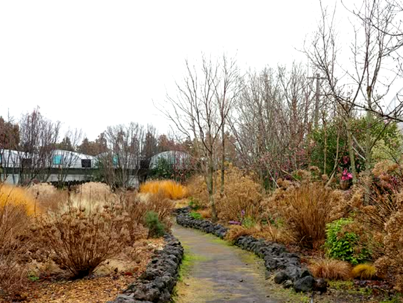 특색있고 아름다운 민간 정원 30선 추천 여행 - 09. 제주 베케정원