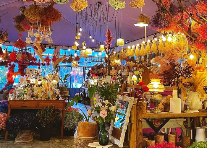 보령 가볼만한곳