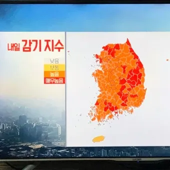 감기 지수 면역 관리 손씻기 영양 섭취 어르신 건강_14