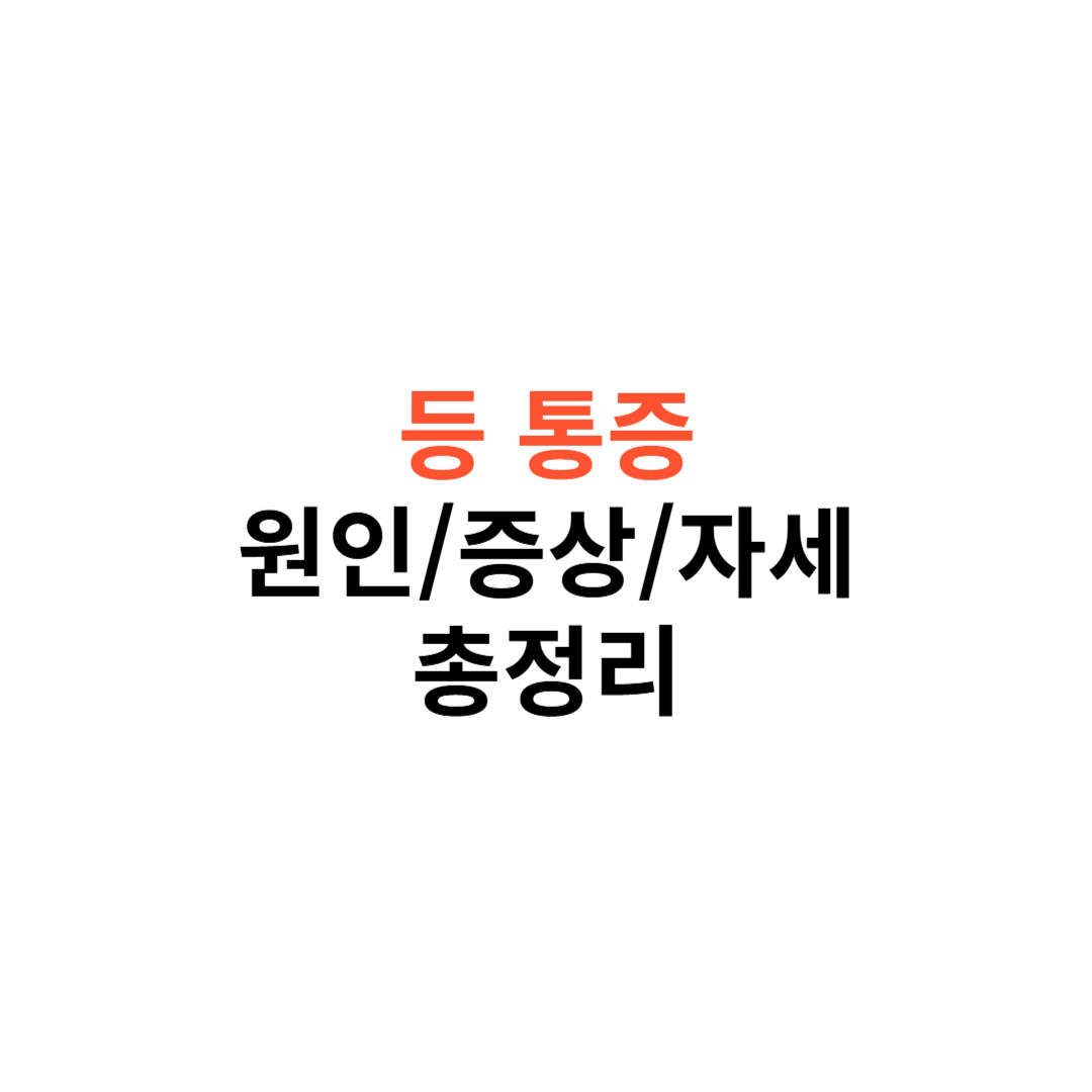 등 통증 원인