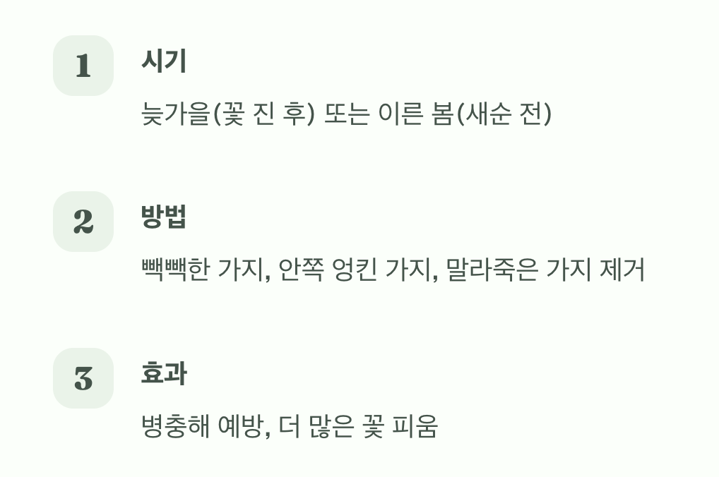 예쁜 수형을 위한 마법, 가지치기