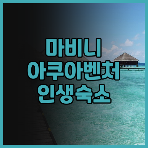 마비니 아쿠아벤처 리프 클럽 솔직 후..