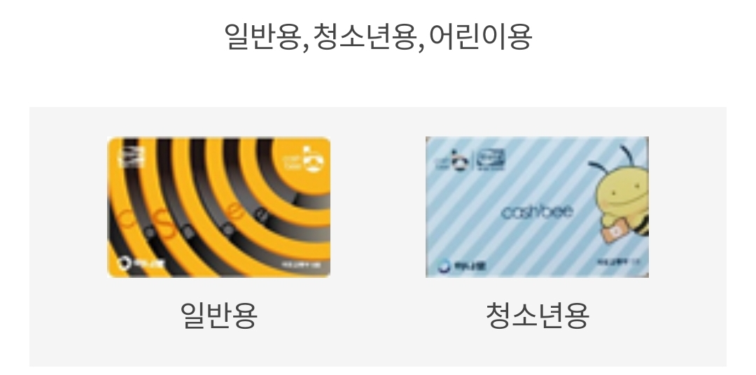 부산지하철 교통카드 수도권 티머니 이용가능?