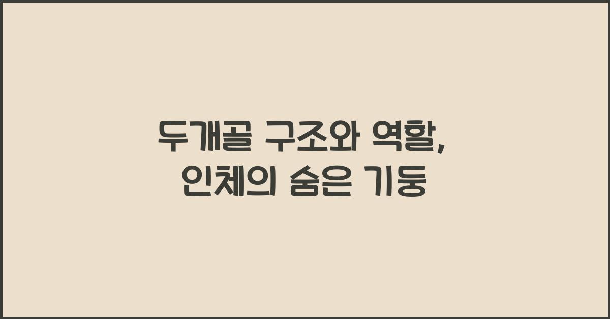 두개골 구조와 역할