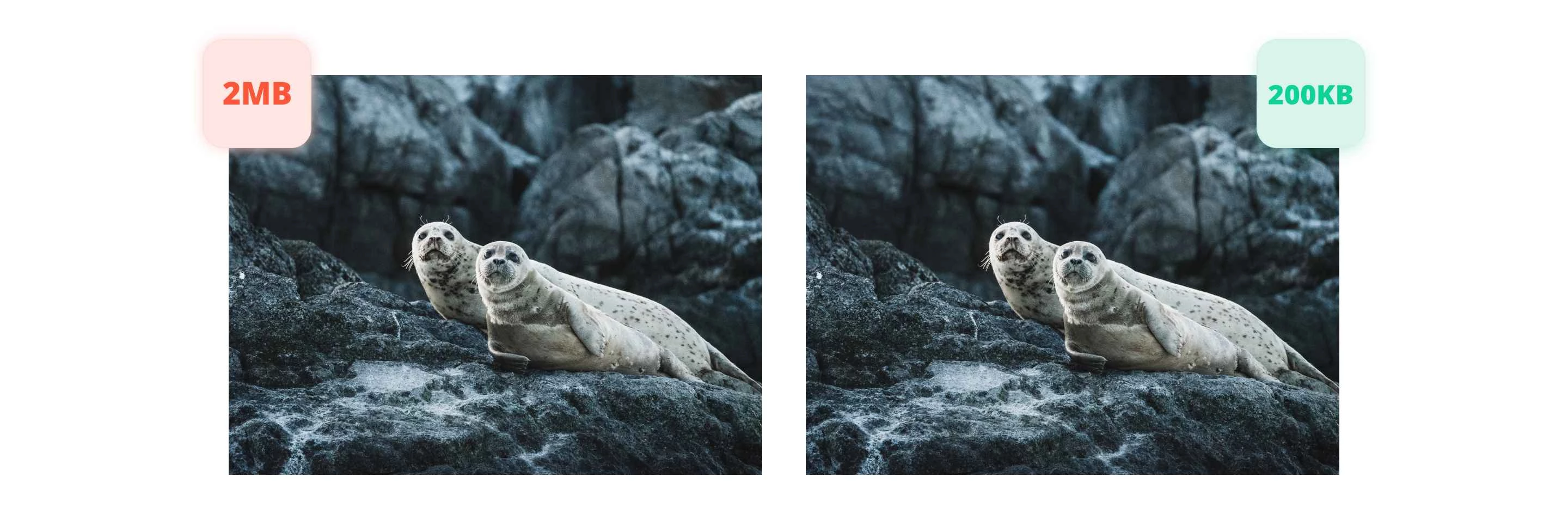 이미지_크기_조정