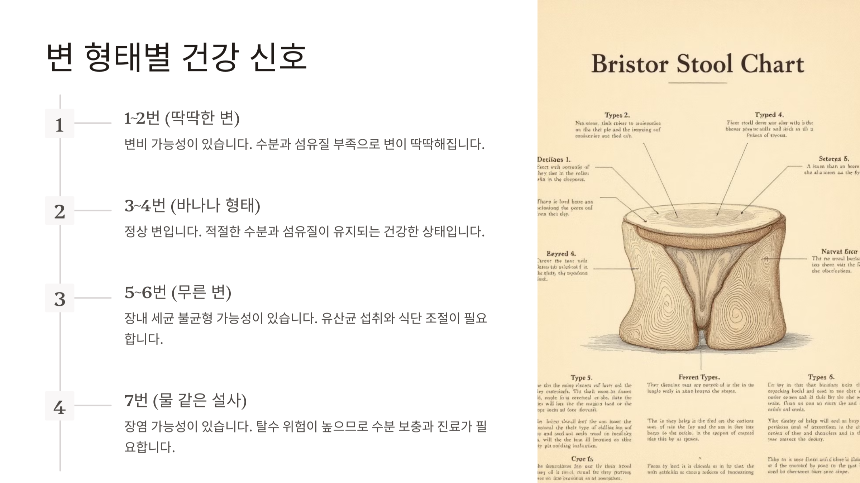 하루에 대변 보는 횟수 - 정상 범위 &amp; 건강 신호 알아보기