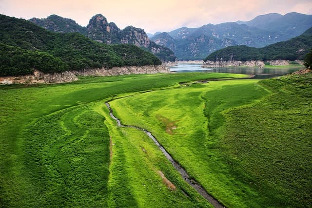 산, 들, 바다가 전통 문화를 품다: 자연과 함께한 의식들