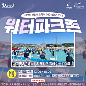 보령 머드축제