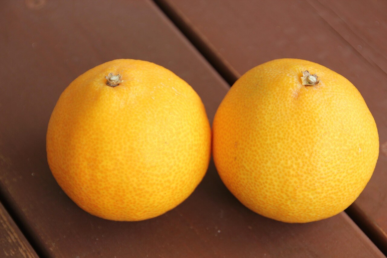 한라산 국립공원 탐방예약 시스템&amp;#44; 입산 예약 방법 및 필수 준비물 총정리