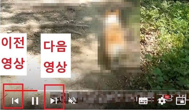 PC화면 좌측하단에 뒤로가기 앞으로 가기 버튼이 있음