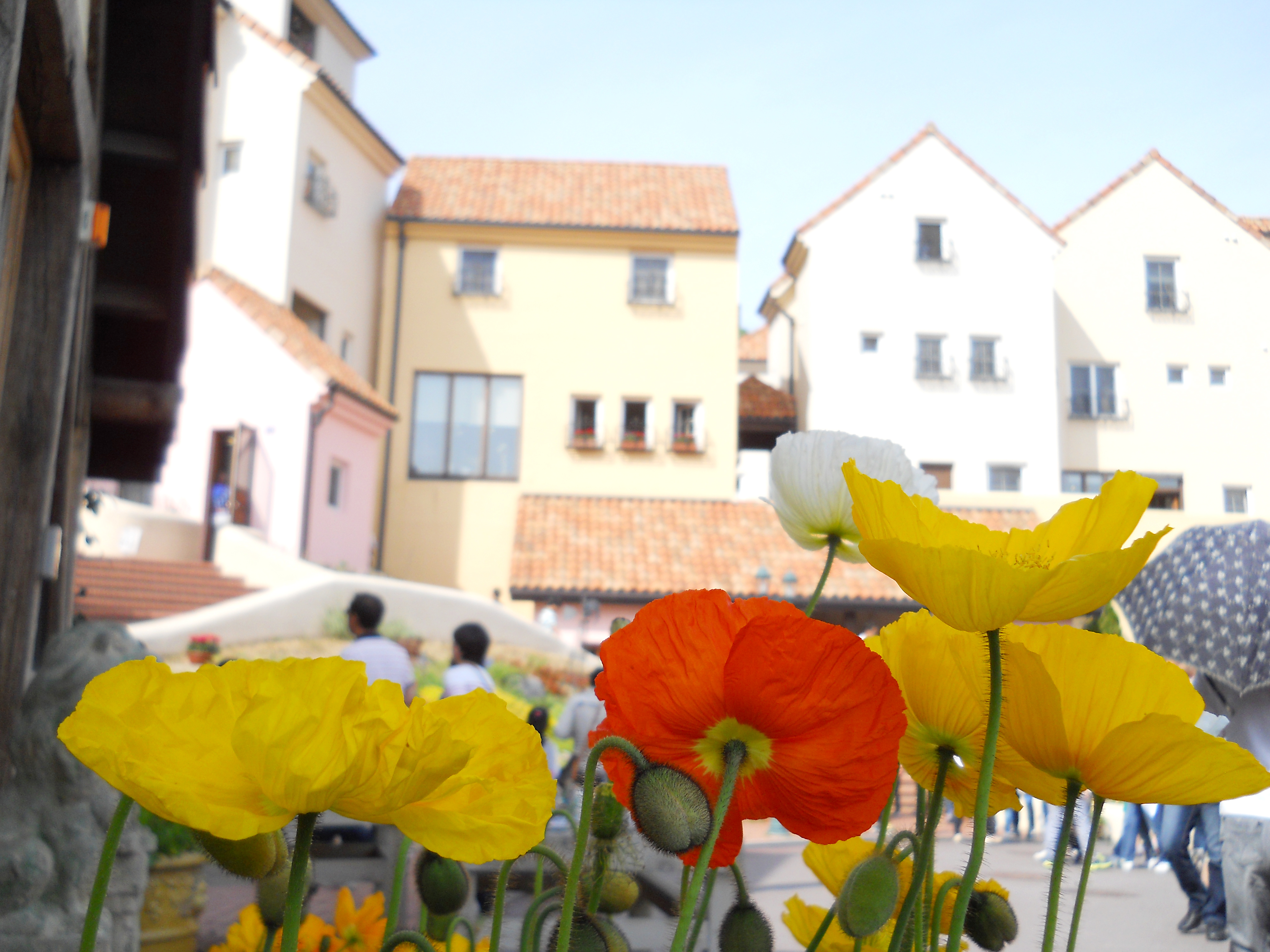 쁘띠프랑스(Petite France)