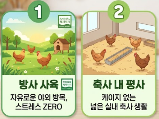 난각번호 보는법