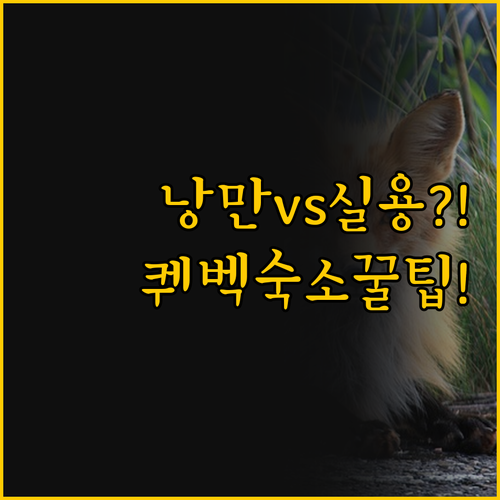 구시가 낭만 대 현대적 실용 퀘벡 숙..