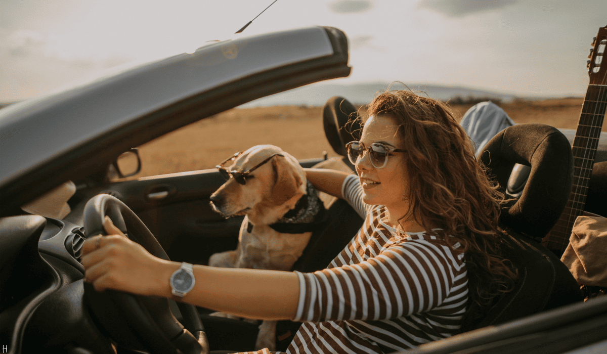 차량_렌트비용_7