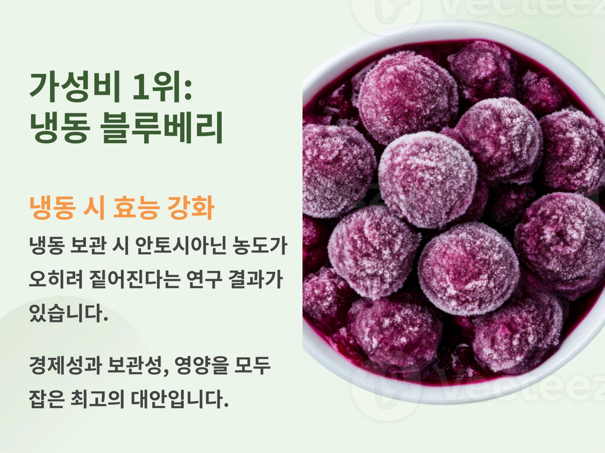 하얀 서리가 내려앉은 냉동 블루베리의 근접 사진과 냉동 시 안토시아닌 농도가 높아진다는 설명 문구