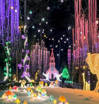 아침고요수목원 오색별빛정원전