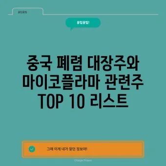 중국폐렴 대장주 관련주 TOP5 총정리_2