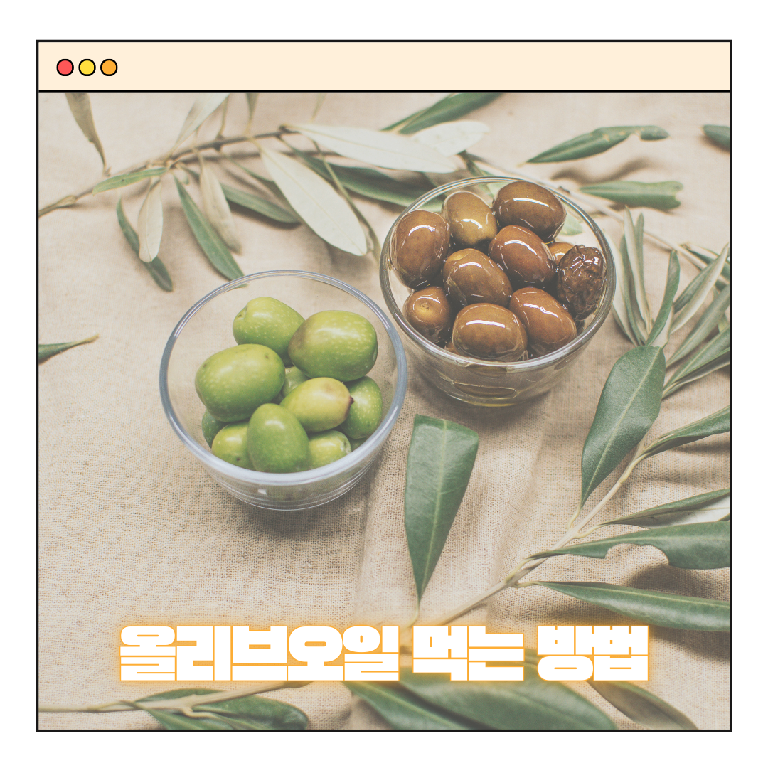 고지혈증에 좋은 음식 올리브오일 간단하게 먹는방법