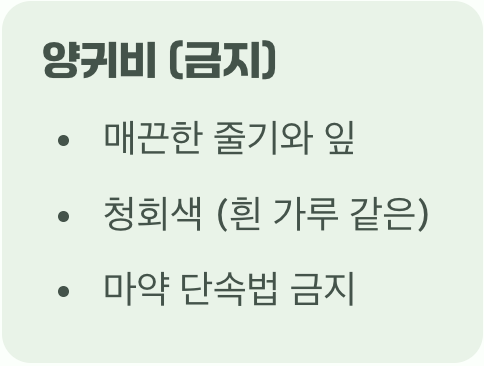 가장 중요한 첫걸음&amp;#44; &amp;#39;착한 양귀비&amp;#39; 구별하기