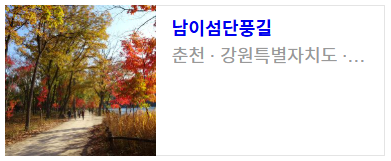 남이섬 단풍