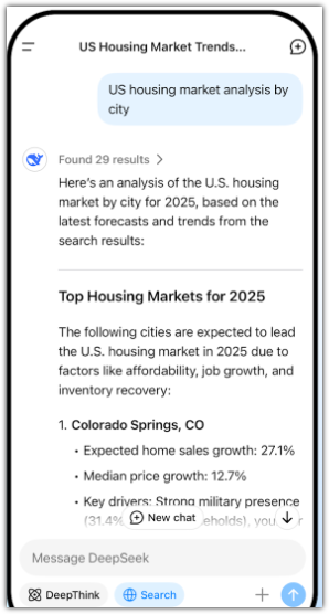딥시크 뜻 딥시크쇼크 뜻 V3 R1