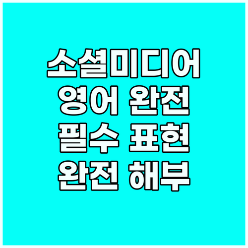 디지털 소통 필수 소셜미디어 영어 완..