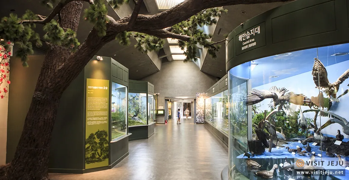 아이와 제주 여행 제주 민속 자연사박물관 예매 코스 가이드_5