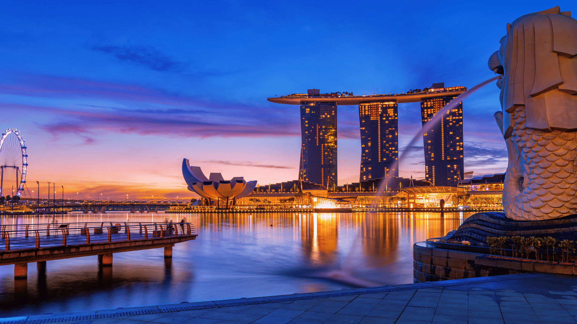 나라별 공항에서 꼭 알아야 할 꿀팁