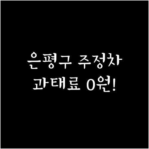 은평구 불법 주정차단속 문자 알림 서..