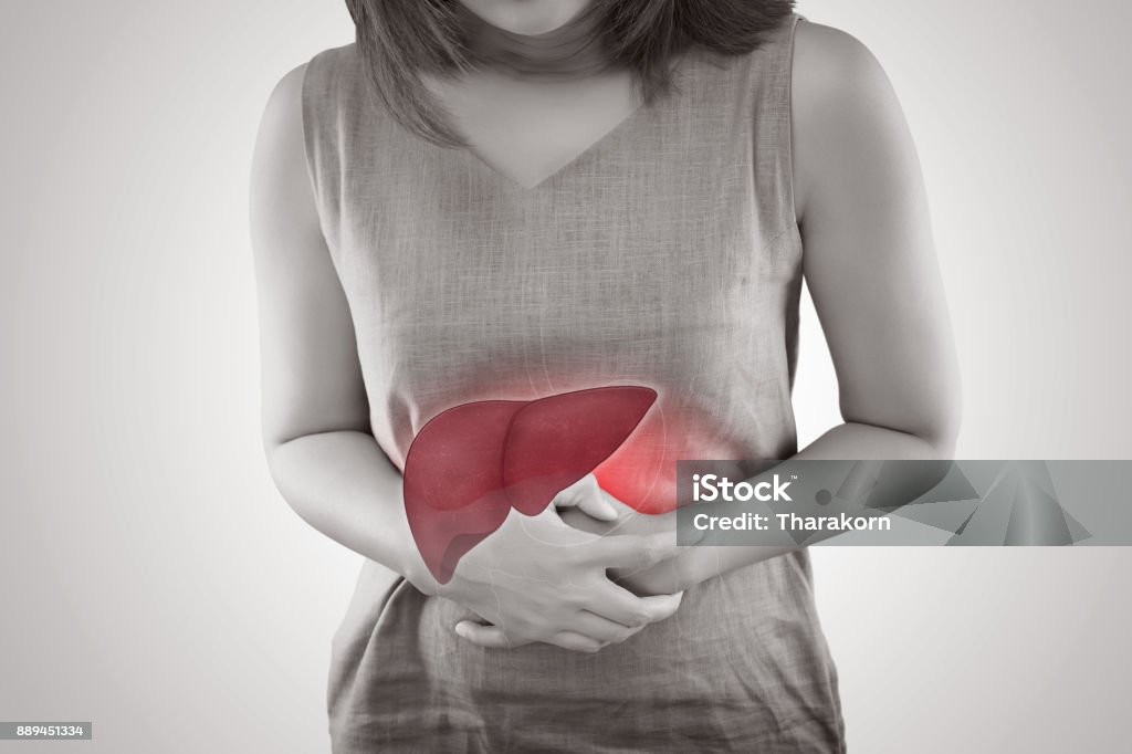 우루사 vs 밀크씨슬 vs 숙취해소제 완벽 비교|간 피로엔 뭐가 진짜 효과 있을까?