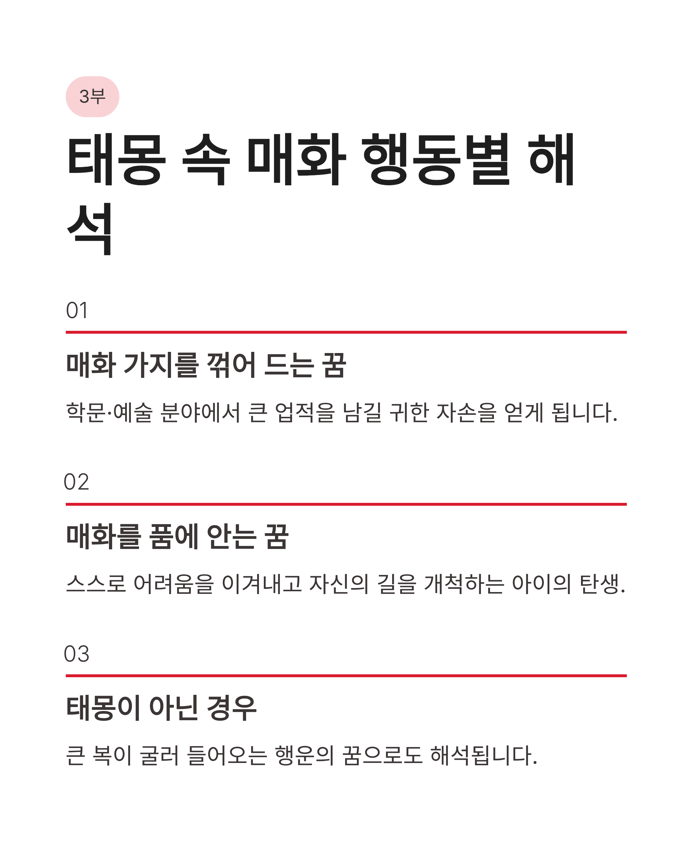 🌸 매화 꿈 해몽 , 하얀 매화꿈, 색깔별 매화꿈, 매화 태몽꿈 완벽정리