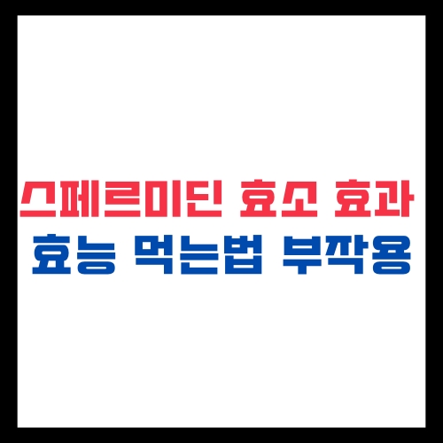 스페르미딘 효소 효과 효능 먹는법 부작용 총정리