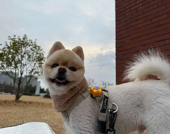 대전엑스포시민광장