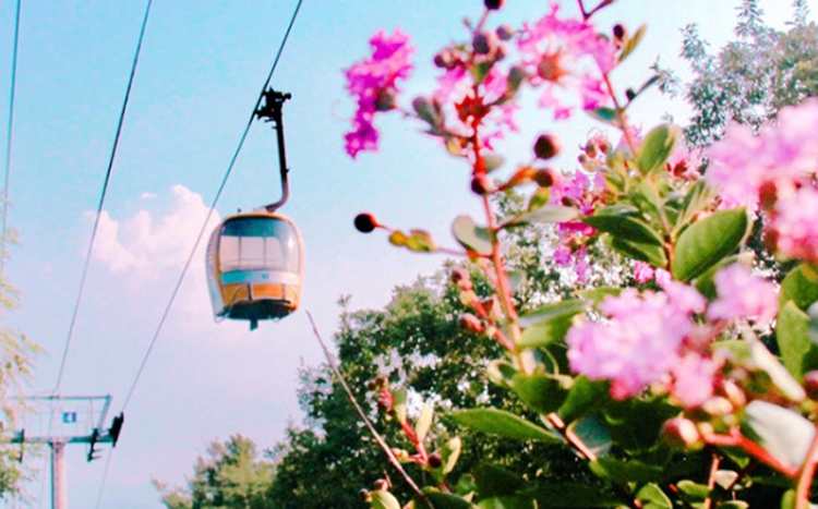 팔공산 케이블카