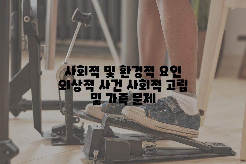 사회적 및 환경적 요인 외상적 사건 사회적 고립 및 가족 문제
