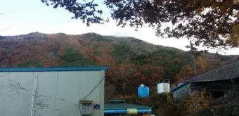 낙엽처럼 살아온 내 모습이 악보 완벽 연주 가이드_25