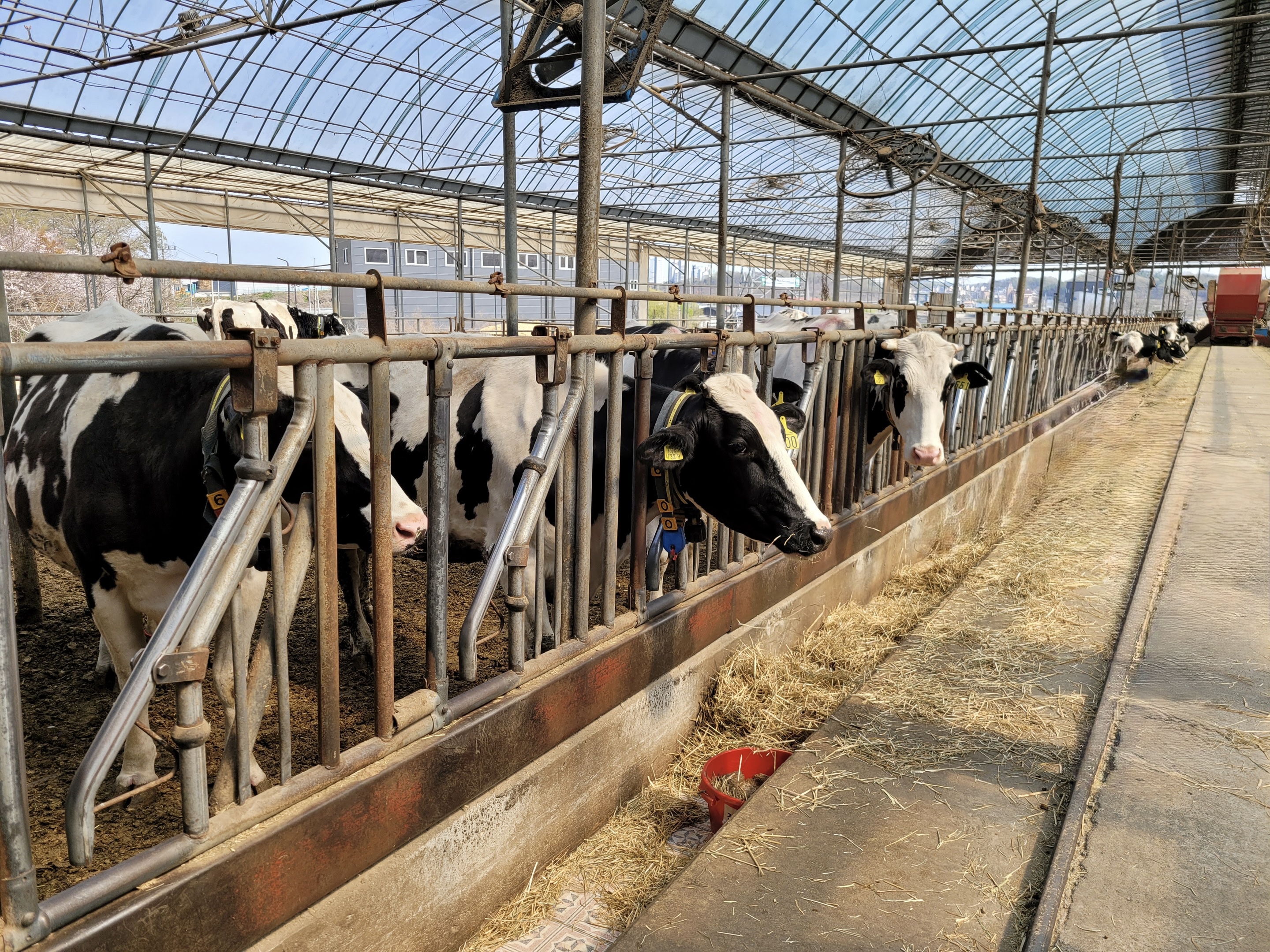 가축사육제한구역의 개념과 환경보전적 의미